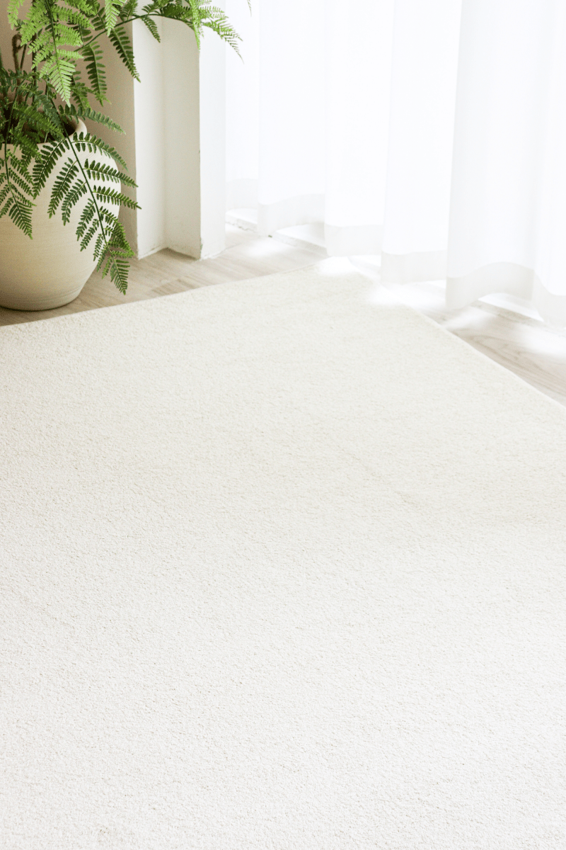 Tapis crème alpine | Série Essentiels intemporels