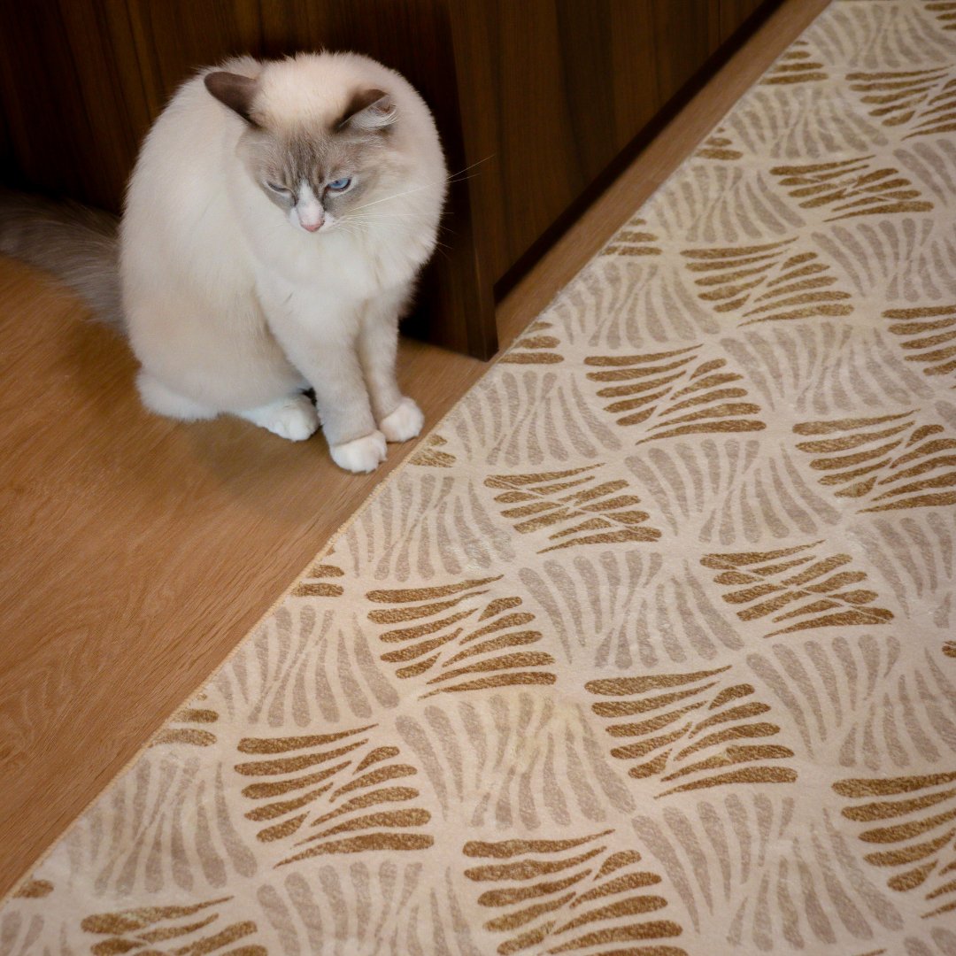 Tapis Amber Shell | Scandinave | Série Polyfibre Cachemire
