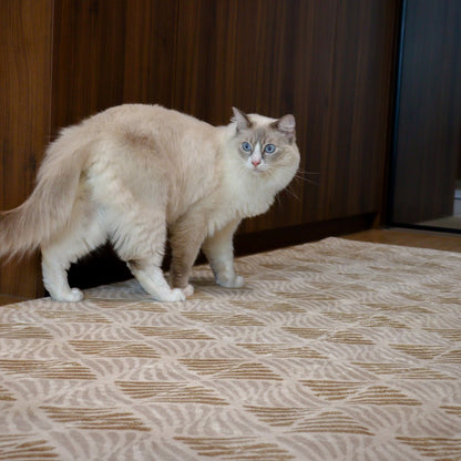 Tapis Amber Shell | Scandinave | Série Polyfibre Cachemire