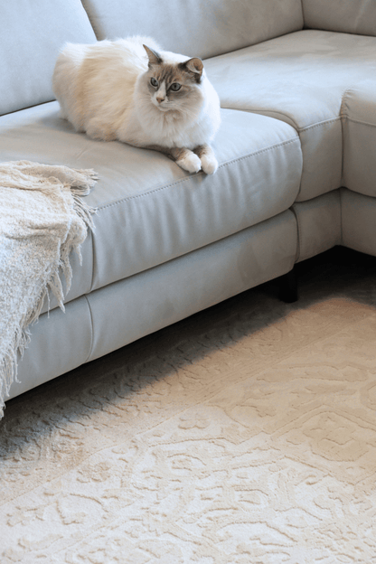 Tapis Imperial crème | Série Wilton Dyed