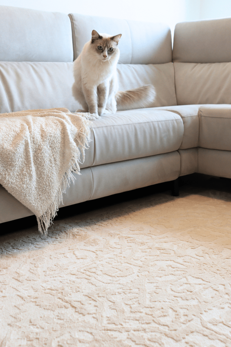 Tapis Imperial crème | Série Wilton Dyed