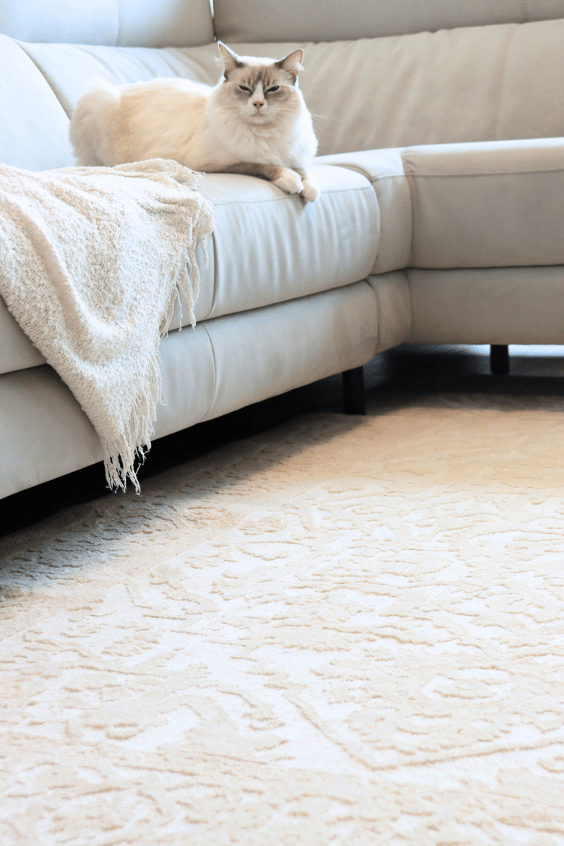 Tapis Imperial crème | Série Wilton Dyed