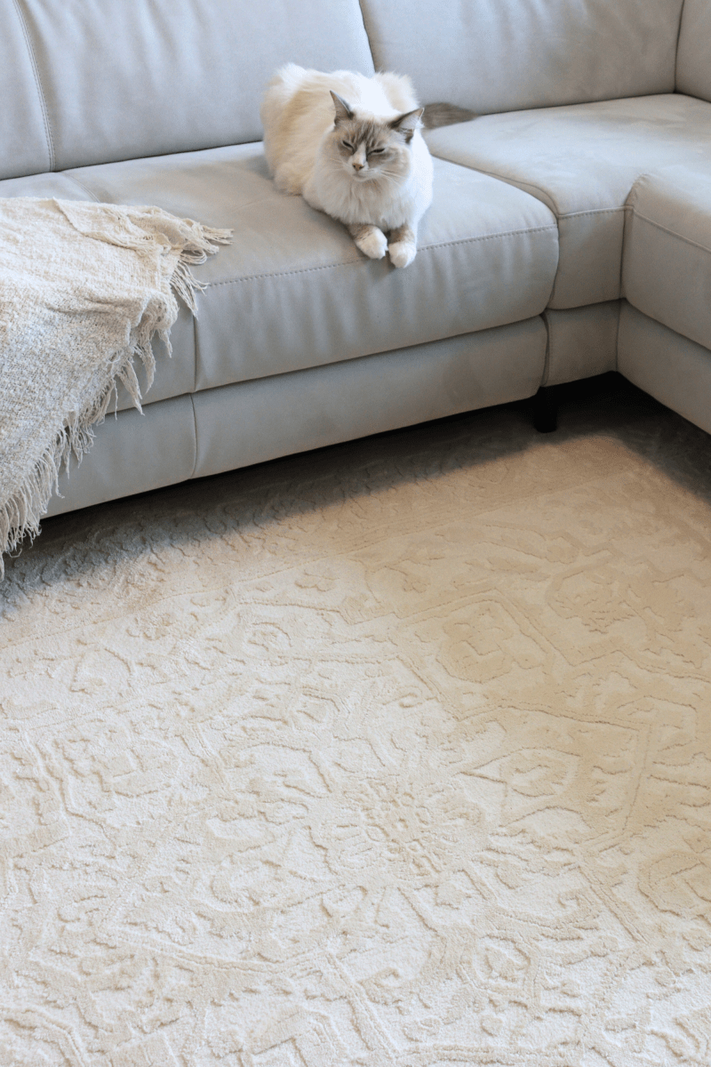 Tapis Imperial crème | Série Wilton Dyed